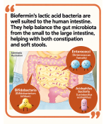 BIOFERMIN S PROBIOTIC FINE GRANULES 45G (FROM 3 MONTHS)